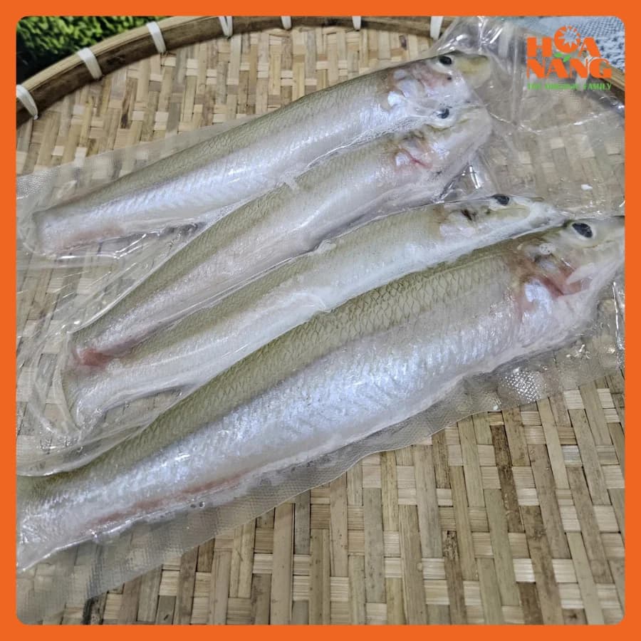 Cá bống đục fish