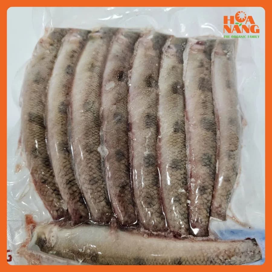 Cá bống kèo fish