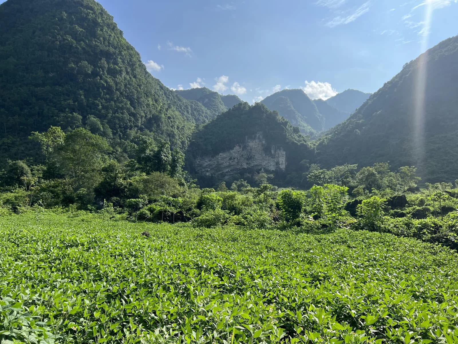 Hanuti’s green growing region beneath limestone mountains